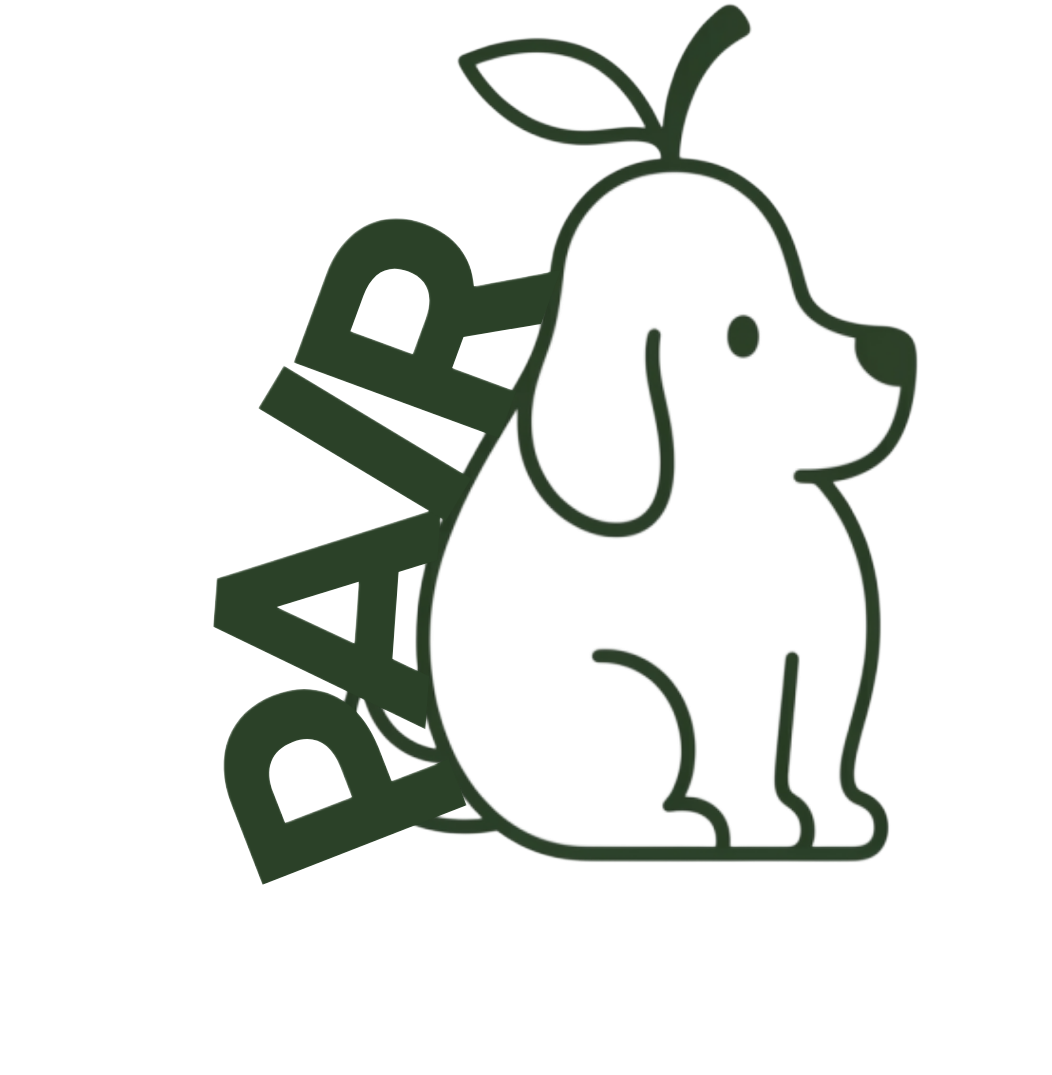 PAIR logo